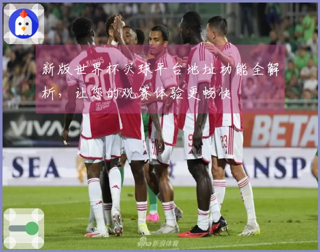 新版世界杯买球平台地址功能全解析，让您的观赛体验更畅快