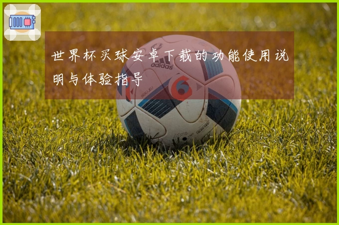 世界杯买球安卓下载的功能使用说明与体验指导