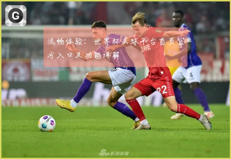流畅体验：世界杯买球平台首页官方入口及功能详解