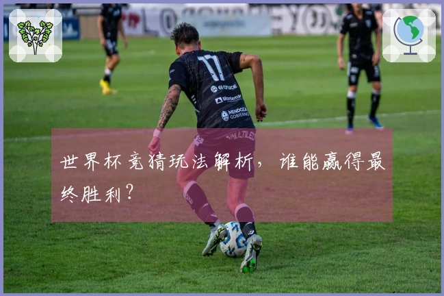 世界杯竞猜玩法解析，谁能赢得最终胜利？