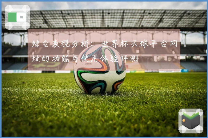 综合表现分析:世界杯买球平台网址的功能与使用体验评测