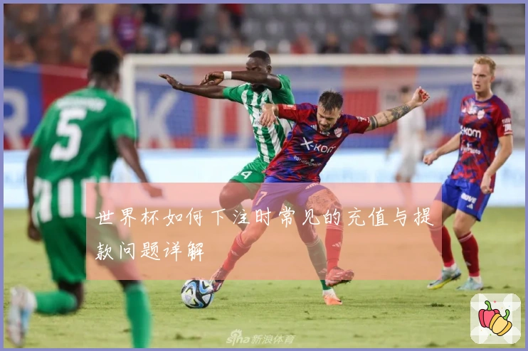 世界杯如何下注时常见的充值与提款问题详解