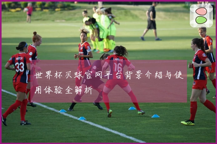 世界杯买球官网平台背景介绍与使用体验全解析