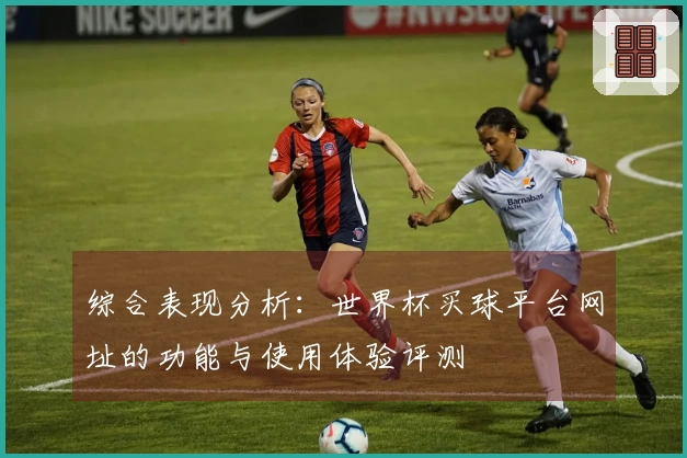 综合表现分析：世界杯买球平台网址的功能与使用体验评测