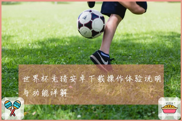 世界杯竞猜安卓下载操作体验说明与功能详解