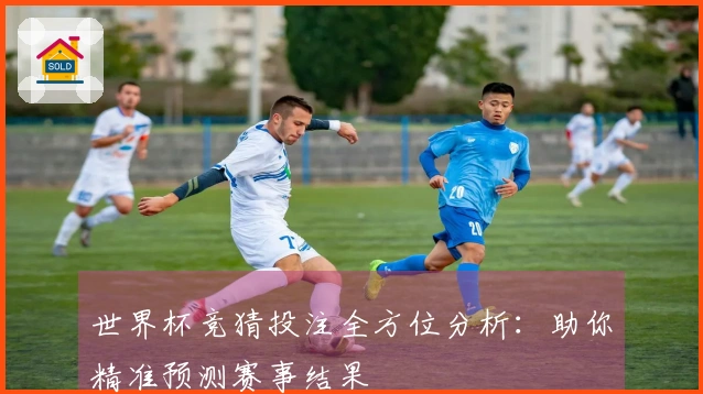 世界杯竞猜投注全方位分析：助你精准预测赛事结果