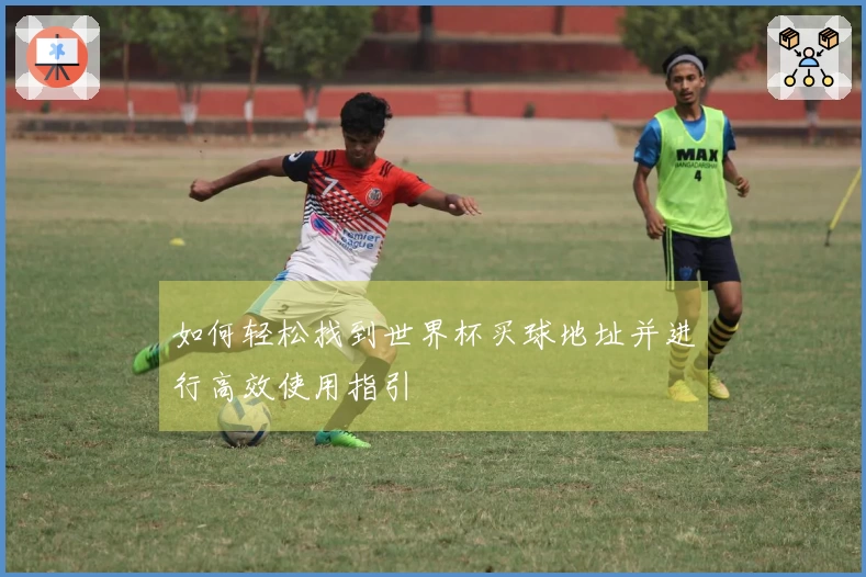 如何轻松找到世界杯买球地址并进行高效使用指引